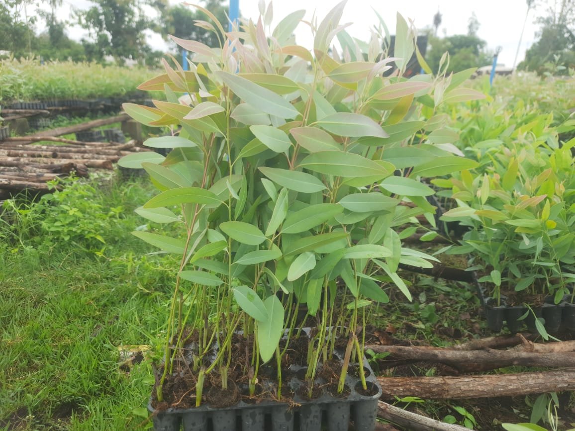 Futurelife-home2-slideshow