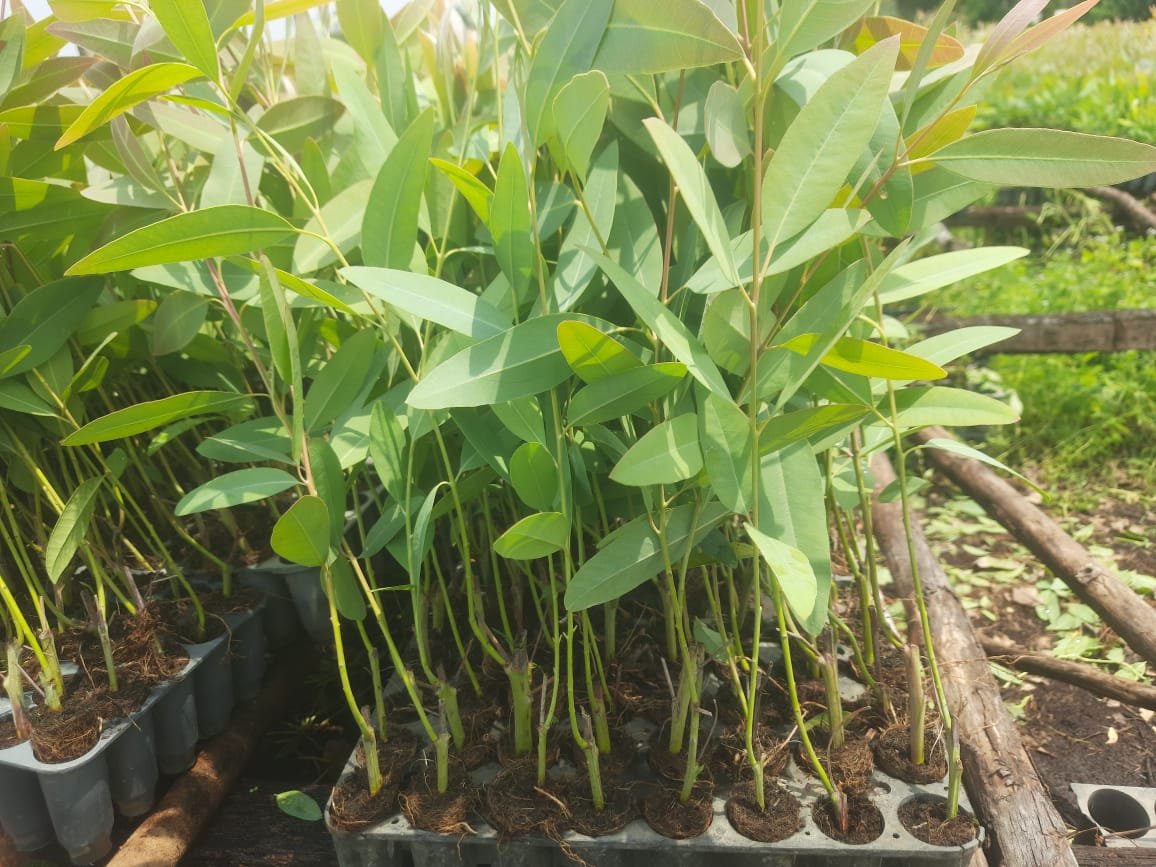 Futurelife-home2-slideshow